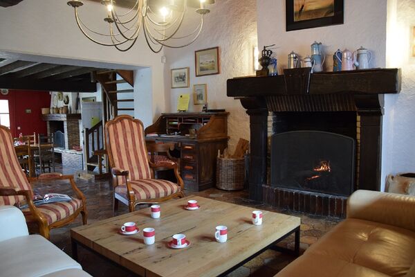 cheminee-salon-gand-gite-chartres