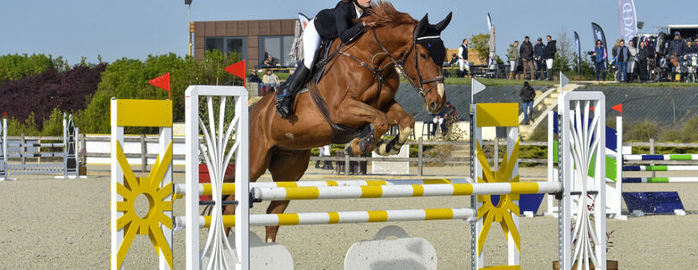 csm_concours-equitation-amilly-chartres-metropole-16-9_bf179f53ef