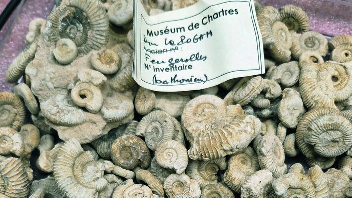 10-29-conference-jeudis-archeo-museum-histoire-naturelle-mediatheque-apostrophe-chartres-16-9