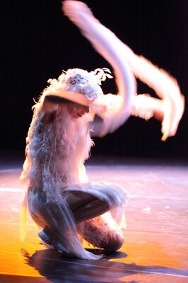 201013_Petit Homme