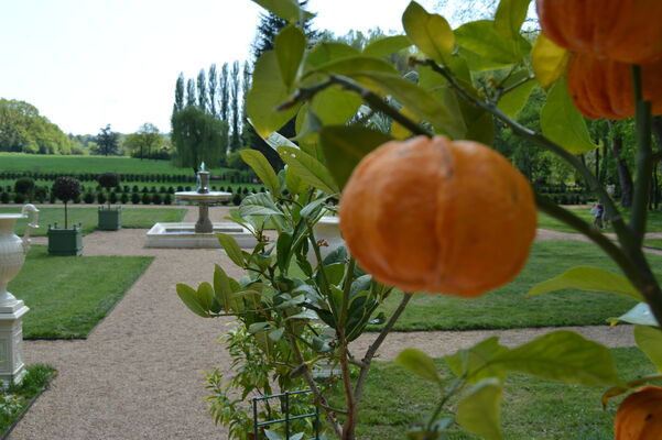 4. Orangers et Grands Parterres - 4