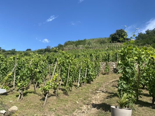 Domaine de Coprs-de-Loup