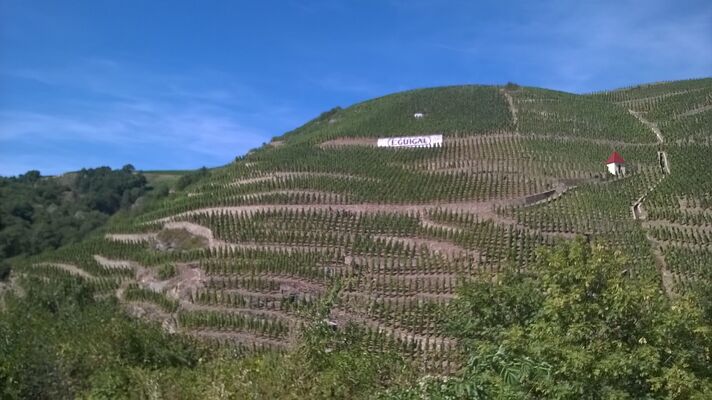 Côte-Rotie
