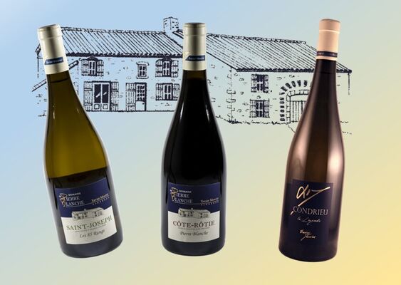 Nos vins