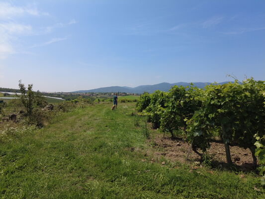 Domaine Faury