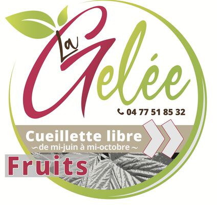 Signalétique Logo