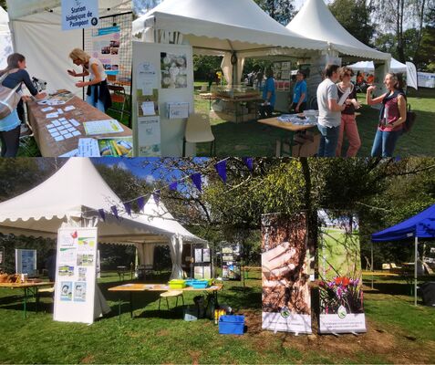 Fête de l'eau et de la biodiversité_Taupont_DestinationBrocéliande