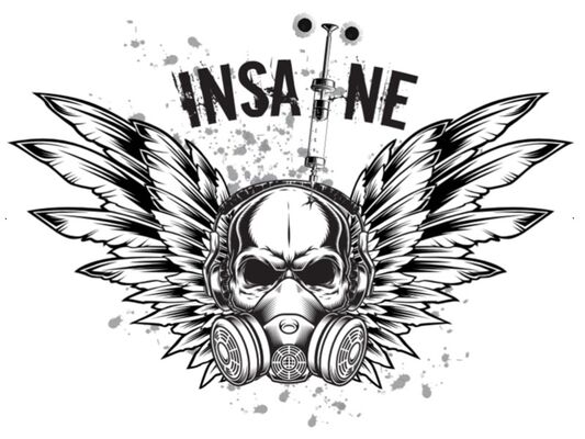 Concert Insaïne - Rock métal