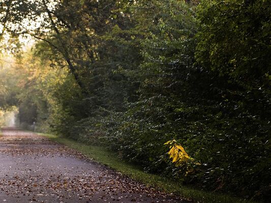 Marche gourmande_Josselin_DestinationBrocéliande