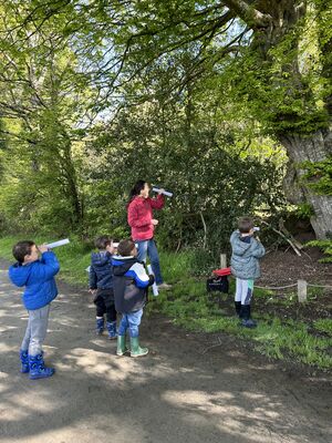 Les Petits explorateurs