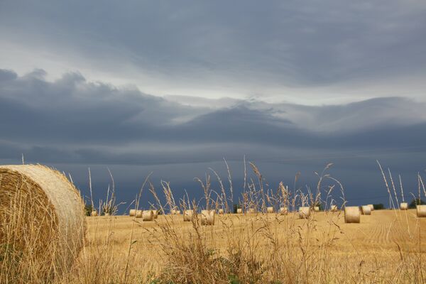 Paysage rural