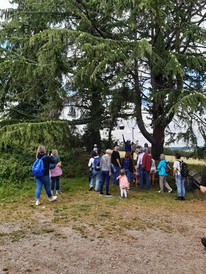 Visite