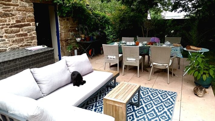 Terrasse avec chats