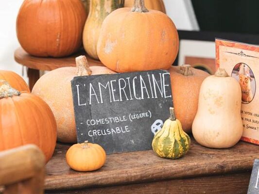 Fêtedelasorcière_CentreArthurien_Comper_Concoret_DestinationBrocéliande