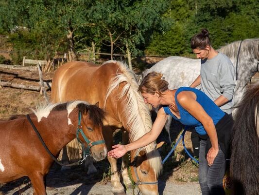 Un après-midi à la ferme_Tréhorenteuc_DestinationBrocéliande
