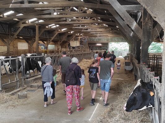 Un_apres_midi_a_la_ferme_Queheon