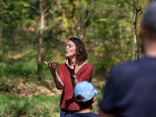 Balade-contée_Val-sans-retour_Brocéliande_les-escapades-de-Julie_Tréhorenteuc