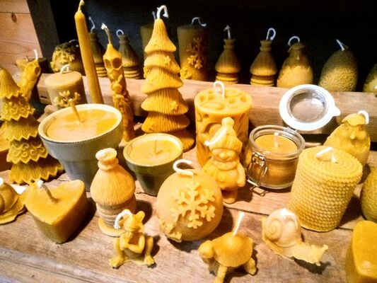 Miellerie-Herboristerie-Brocéliande3-maraichage-Concoret