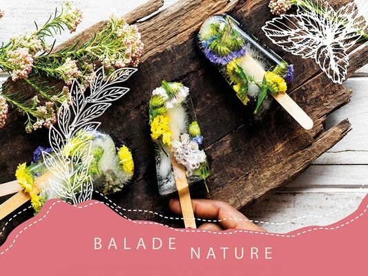 Balade_Nature_Plantes_comestibles_Josselin_DestinationBrocéliande