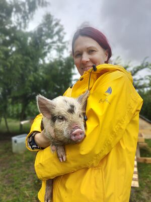 Le cochon