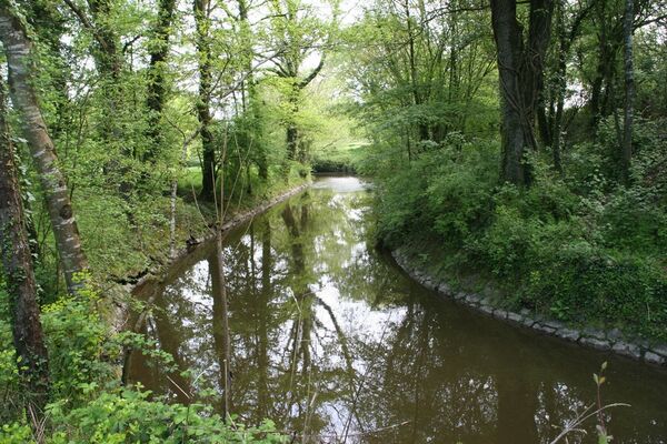 Aire naturelle porcaro