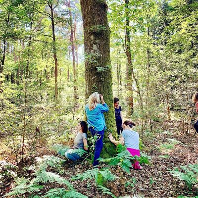 Bain de forêt_Glenn Dubois