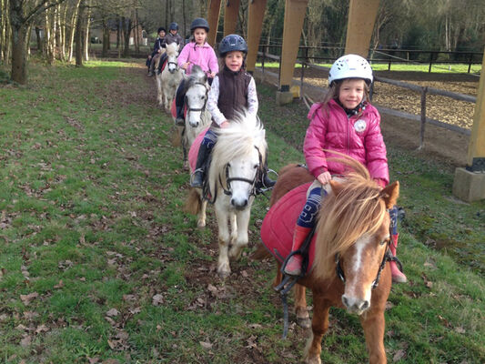 Balades poneys St Marcel Malestroit - Morbihan