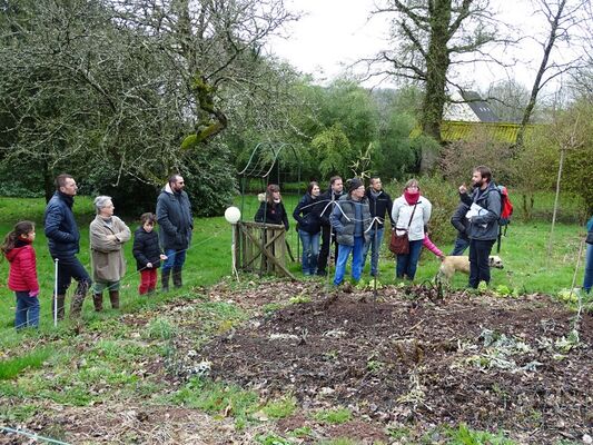 Atelier-jardin-Concoret-Brocéliande-Morbihan-Bretagne