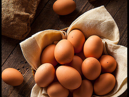 oeufs