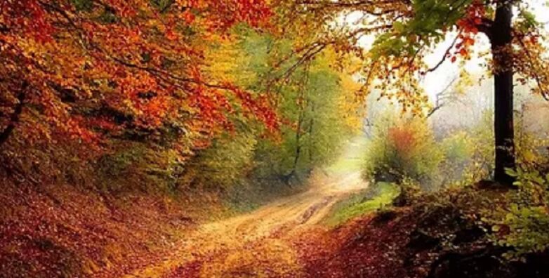 Balades nature