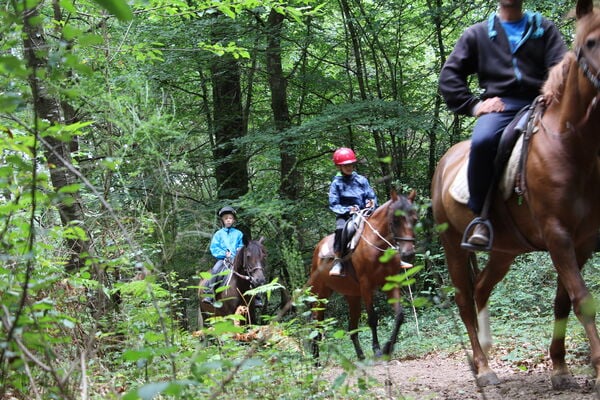 Circuit équestre en forêt