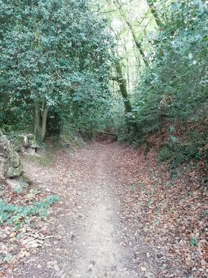 VTT La Gacilly