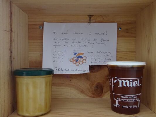 (c)Gîte Les Farfadets