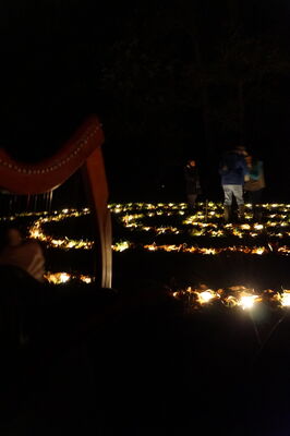 NuitFéériqueEnForet_Mohon_DestinationBrocéliande