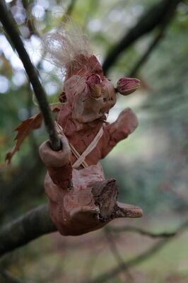 NuitFéériqueEnForet_Mohon_DestinationBrocéliande