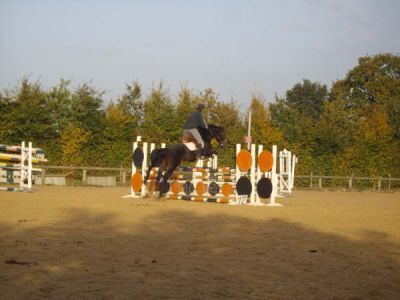 Ecole d’équitation de Bédée - La Nouaye