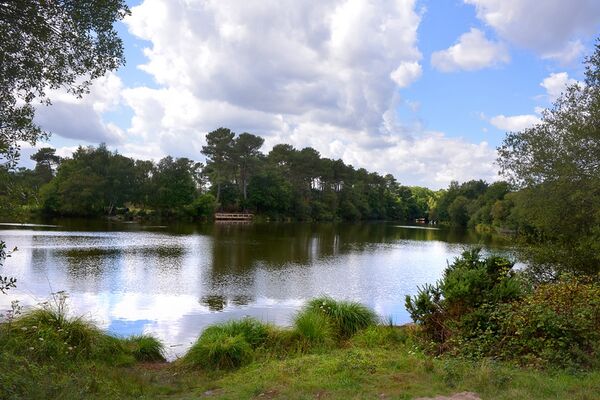 Etang-de-Tregu-Plelan-le-Grand