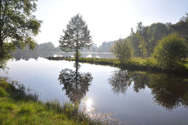 Etang de la Marette St Malon Sur Mel. Crédit photos Roger Blot (6)