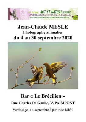 Expo_Jean Claude Meslé_Brécilien_Paimpont