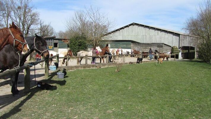 Ferme equestre le treglode