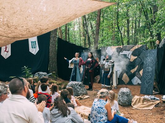 Festival_Excalibur_Photographe_Alekasadra_Danzanta-1