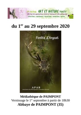 Forêts d'Argoat_Paimpont