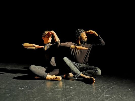 Spectacle - danse - Alter - Mauron - Brocéliande - Bretagne