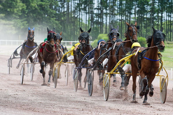 HIPPODROME MAURE DE BRETAGNE