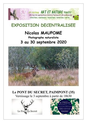 Nicolas Maupome_Paimpont