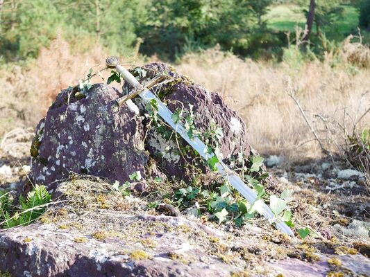 journée-en-broceliande-flore-et-legendes_contes_DestinationBroceliande