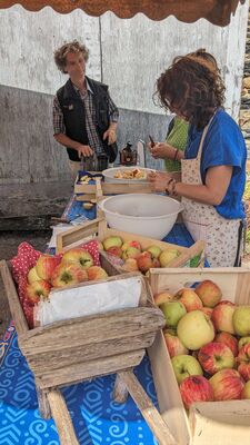 Vente de pommes
