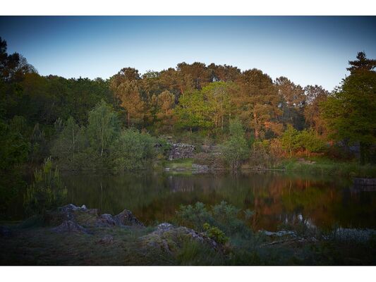 Site naturel-Landes de Monteneuf-Brocéliande-Bretagne