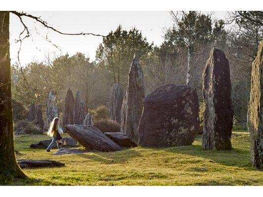 Site naturel-Landes de Monteneuf-Brocéliande-Bretagne