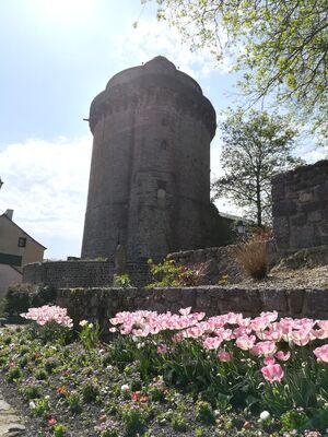 Tour du Papegaut - crédit OT Montfort Communauté